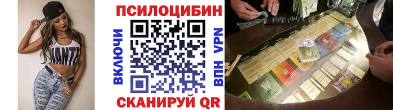 Галлюциногенные грибы Cubensis кракен рабочий сайт Камешково как найти